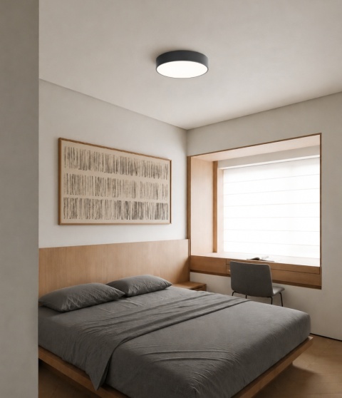 Lampa sufitowa Plafon LED CLEO 300 24W Antracyt