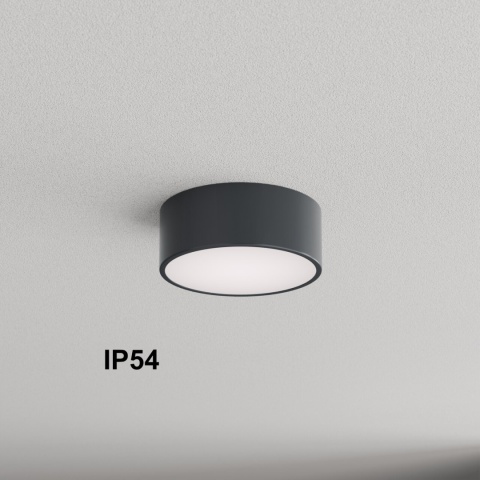 Lampa sufitowa łazienkowa na taras Plafon CLEO 200 IP54 Antracyt